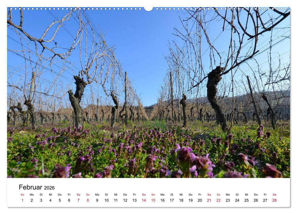 Impressionen vom Kaiserstuhl (CALVENDO Wandkalender 2026)