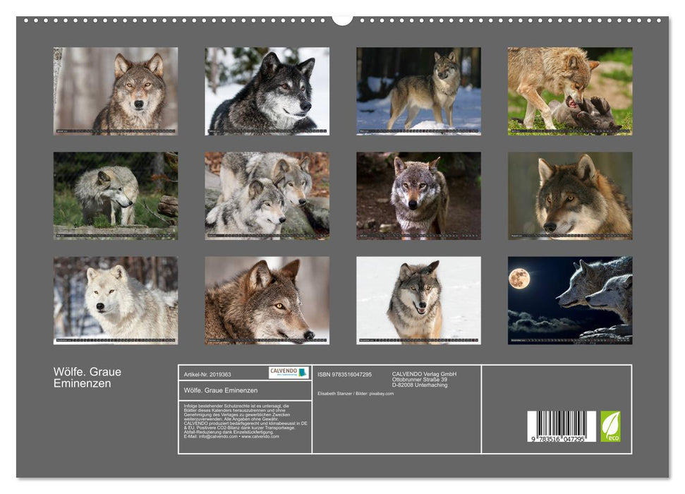 Wölfe. Graue Eminenzen (CALVENDO Premium Wandkalender 2026)