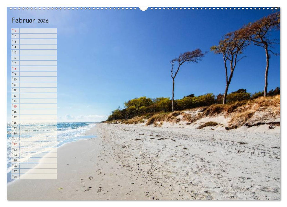 Lichtspiele auf der Halbinsel Darß (CALVENDO Premium Wandkalender 2026)