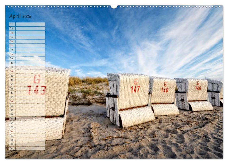 Lichtspiele auf der Halbinsel Darß (CALVENDO Premium Wandkalender 2026)