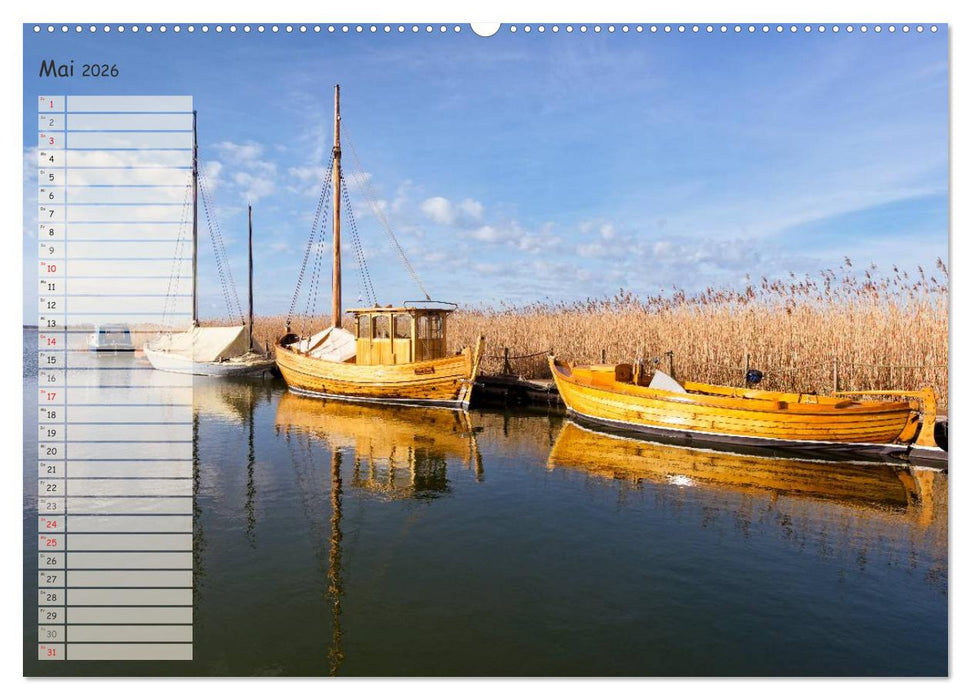 Lichtspiele auf der Halbinsel Darß (CALVENDO Premium Wandkalender 2026)