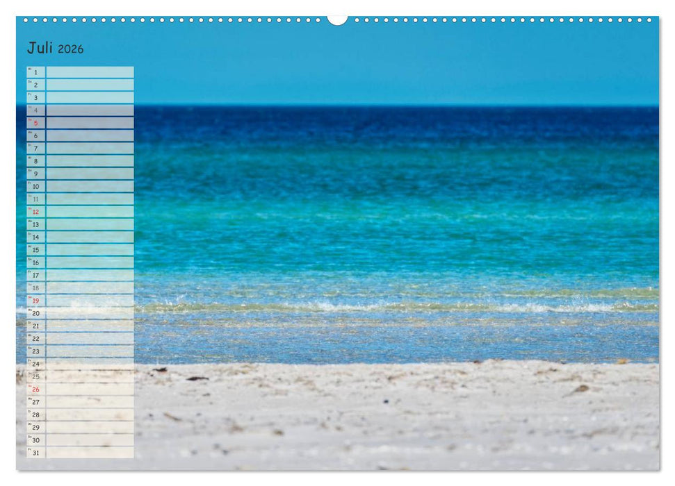 Lichtspiele auf der Halbinsel Darß (CALVENDO Premium Wandkalender 2026)