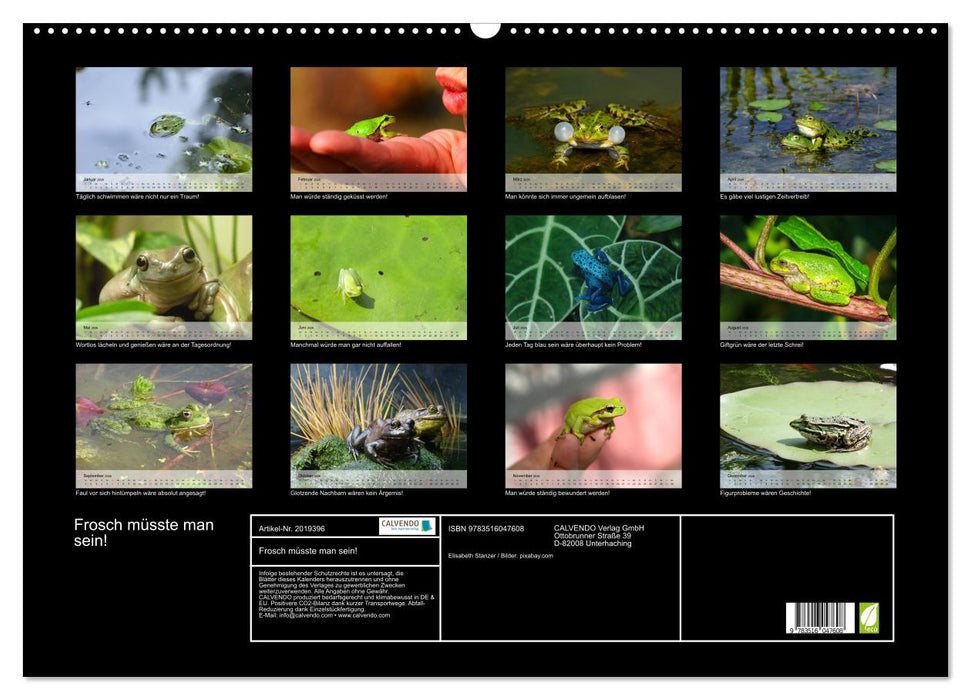Frosch müsste man sein! (CALVENDO Wandkalender 2026)