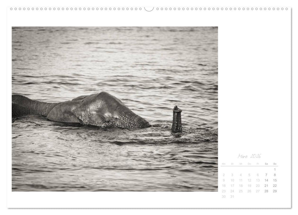 Elefanten in Etosha (CALVENDO Wandkalender 2026)