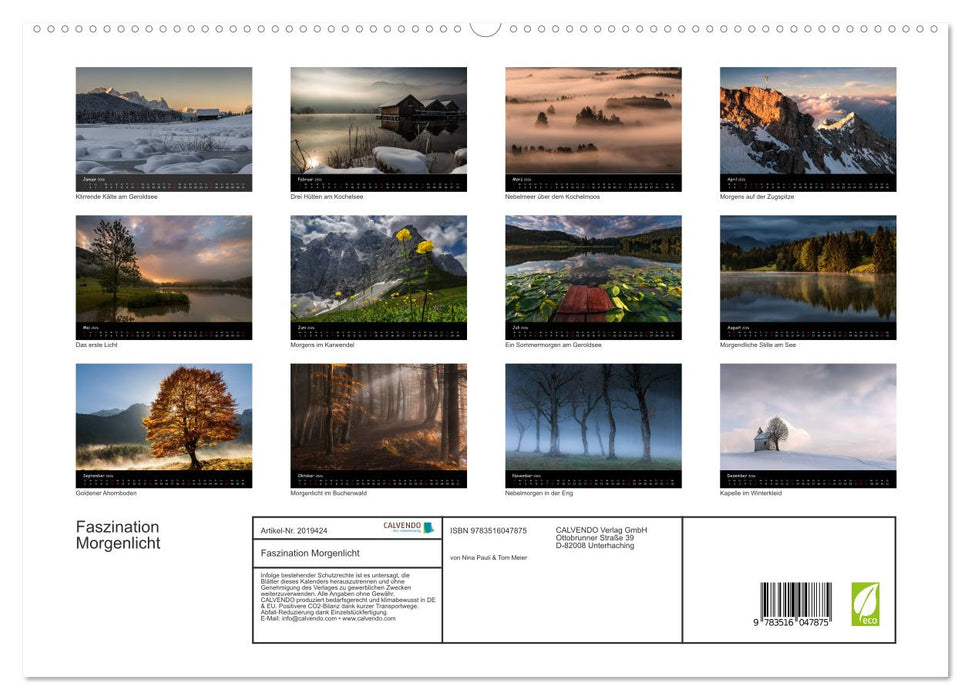 Faszination Morgenlicht (CALVENDO Premium Wandkalender 2026)