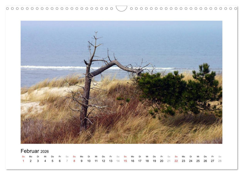 JUIST - Ansichten einer Insel (CALVENDO Wandkalender 2026)