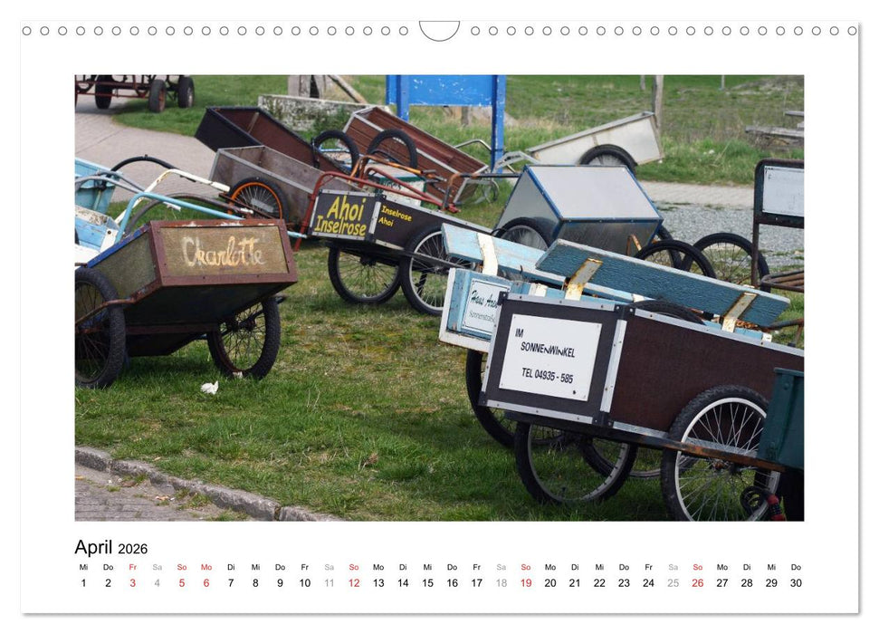 JUIST - Ansichten einer Insel (CALVENDO Wandkalender 2026)