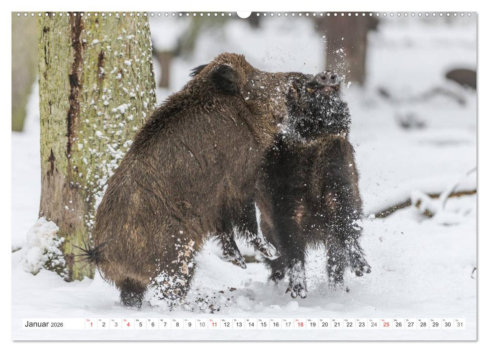 Emotionale Momente: Wild und Jagd. (CALVENDO Premium Wandkalender 2026)