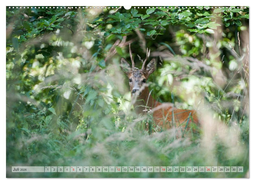 Emotionale Momente: Wild und Jagd. (CALVENDO Premium Wandkalender 2026)