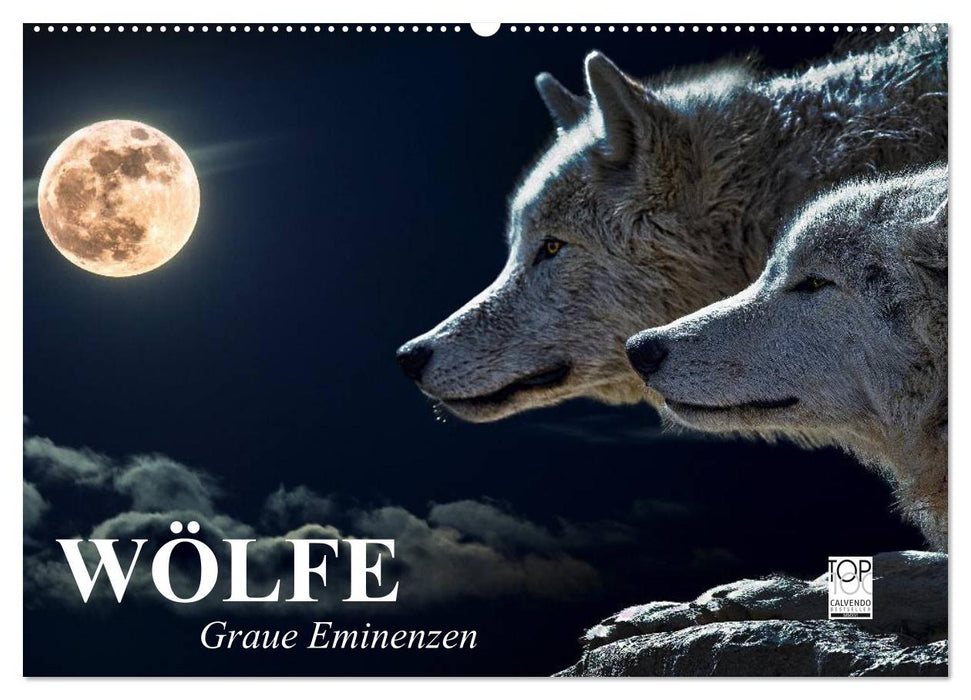 Wölfe. Graue Eminenzen (CALVENDO Wandkalender 2026)