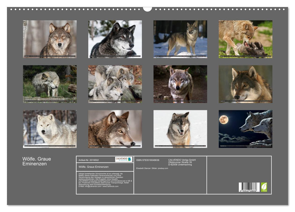 Wölfe. Graue Eminenzen (CALVENDO Wandkalender 2026)