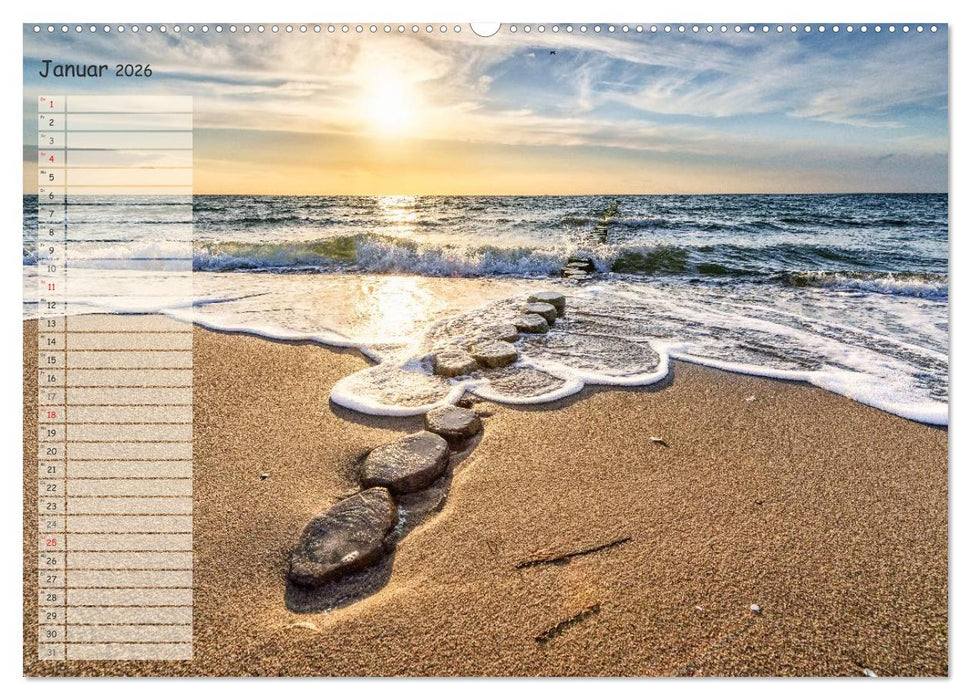 Lichtspiele auf der Halbinsel Darß (CALVENDO Wandkalender 2026)