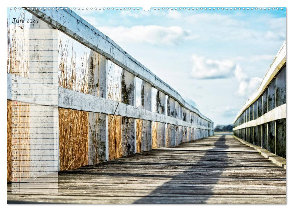 Lichtspiele auf der Halbinsel Darß (CALVENDO Wandkalender 2026)