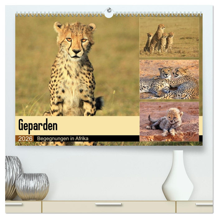 Geparden - Begegnungen in Afrika (CALVENDO Premium Wandkalender 2026)