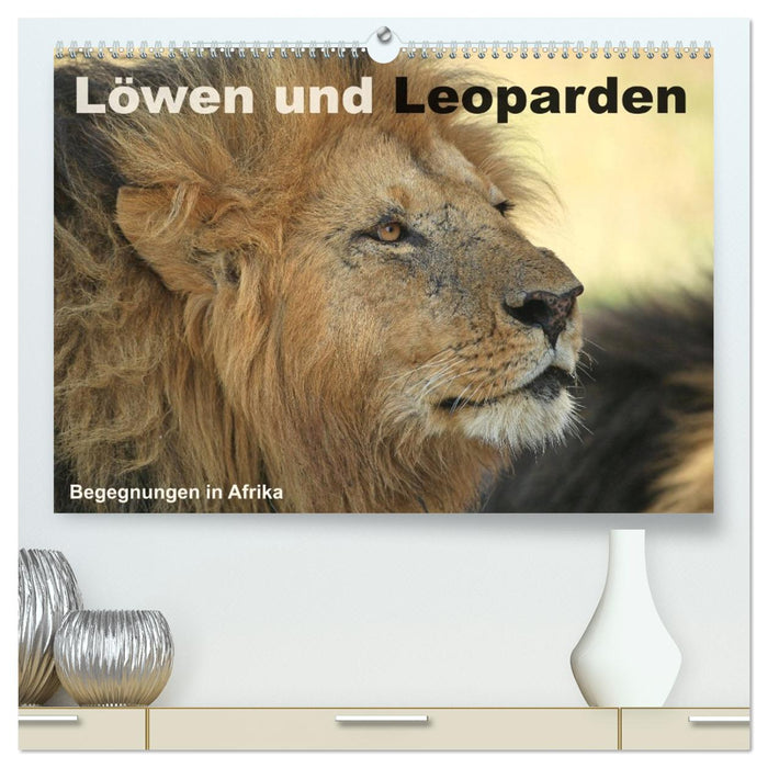 Löwen und Leoparden - Begegnungen in Afrika (CALVENDO Premium Wandkalender 2026)