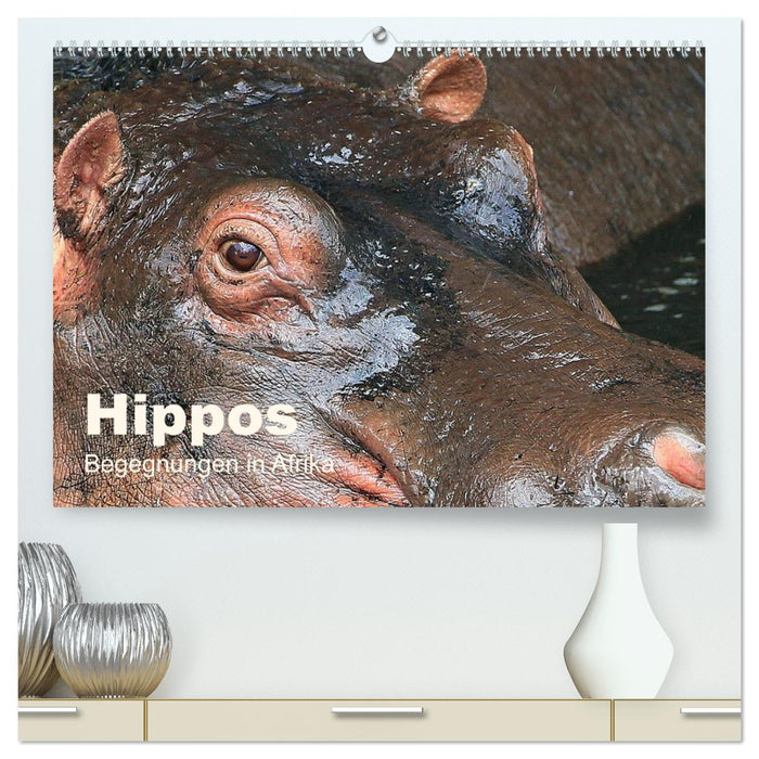 Hippos - Begegnungen in Afrika (CALVENDO Premium Wandkalender 2026)