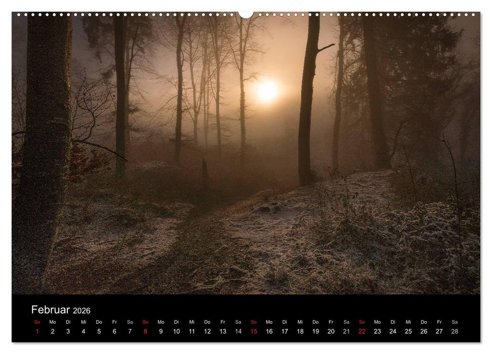 Mysterium Wald (CALVENDO Premium Wandkalender 2026)