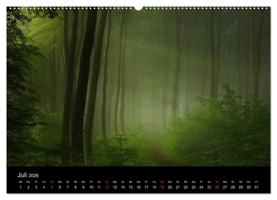 Mysterium Wald (CALVENDO Premium Wandkalender 2026)