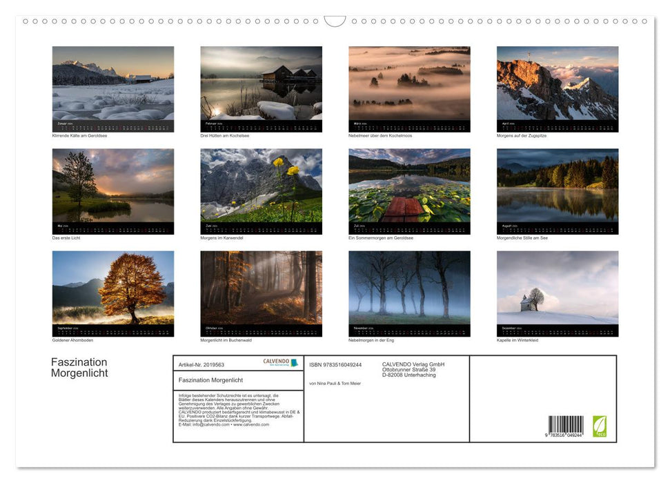 Faszination Morgenlicht (CALVENDO Wandkalender 2026)