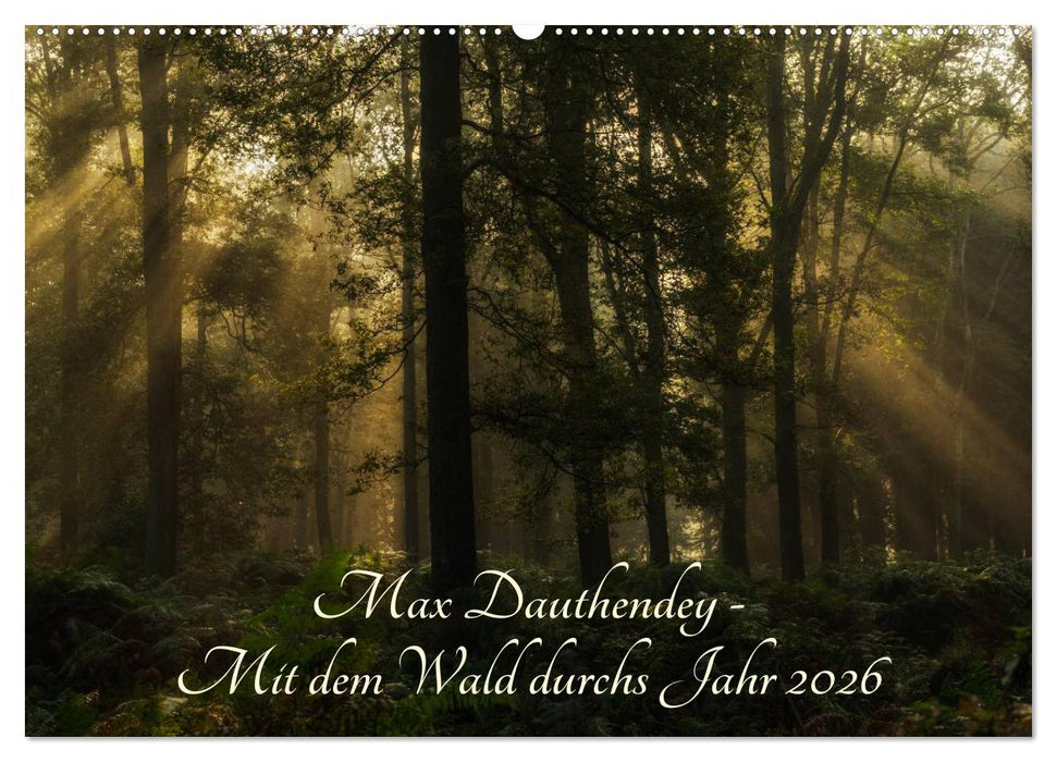 Max Dauthendey - Mit dem Wald durchs Jahr (CALVENDO Wandkalender 2026)