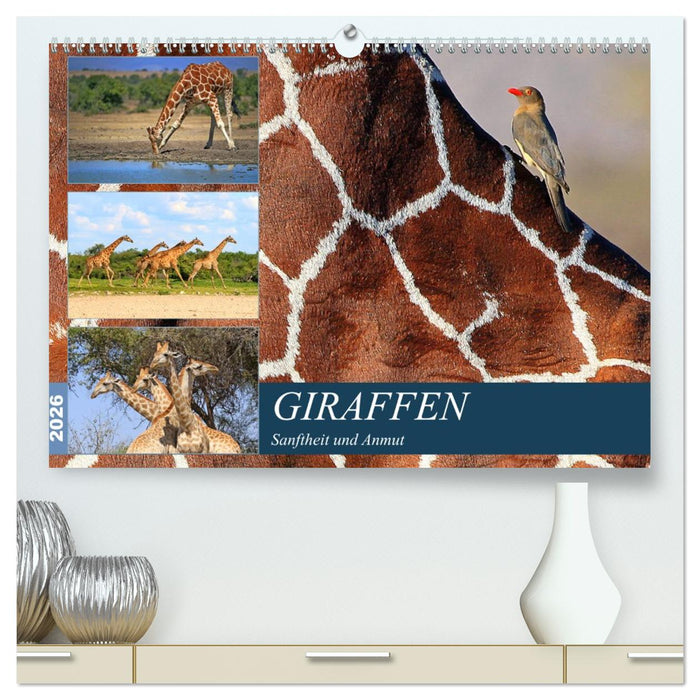 Giraffen - Sanftheit und Anmut (CALVENDO Premium Wandkalender 2026)