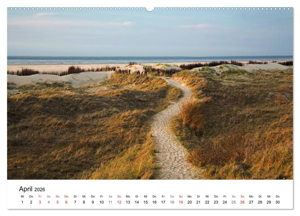 Küsten - Kunst der Meere (CALVENDO Premium Wandkalender 2026)