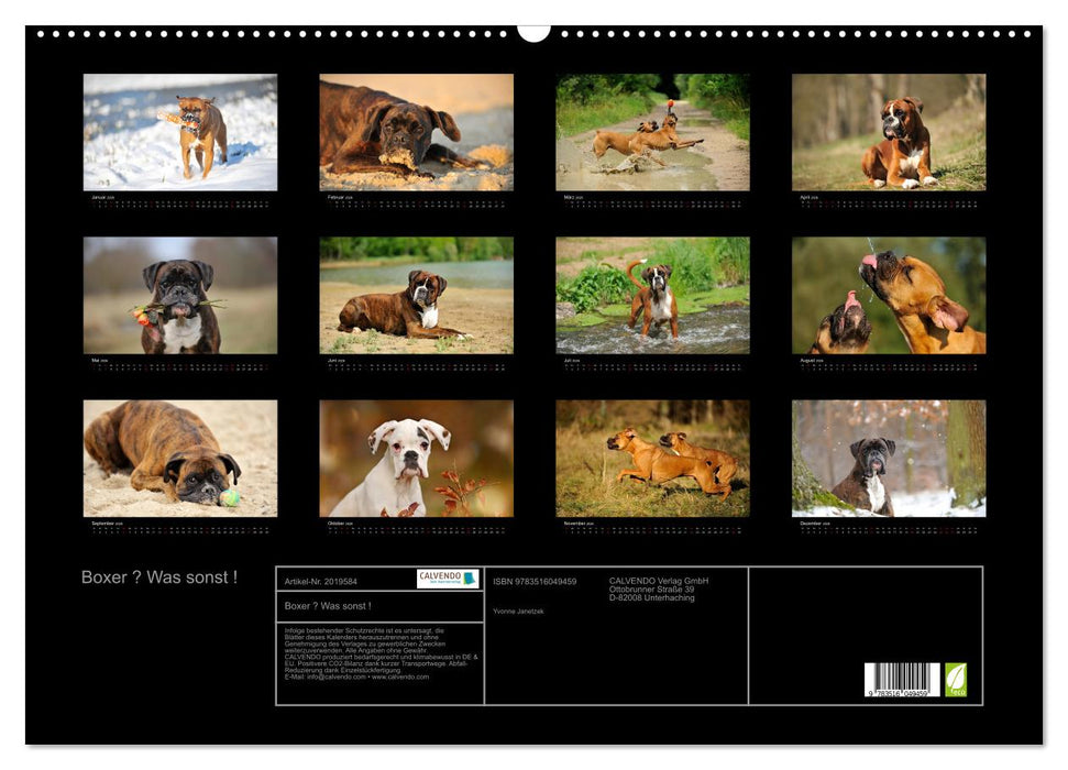 Boxer ? Was sonst ! (CALVENDO Wandkalender 2026)