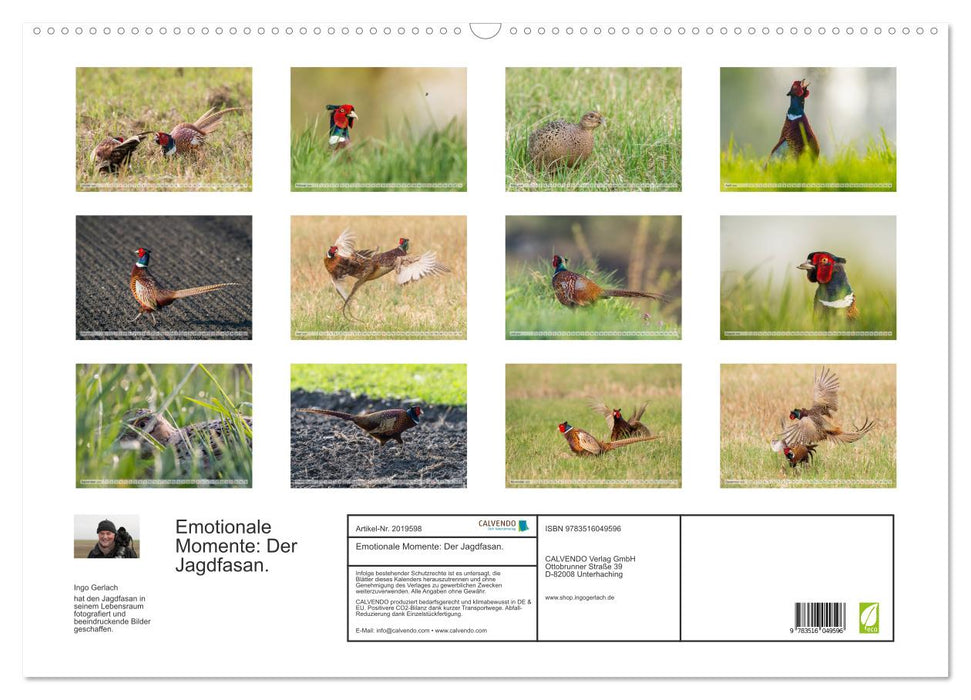 Emotionale Momente: Der Jagdfasan. (CALVENDO Wandkalender 2026)