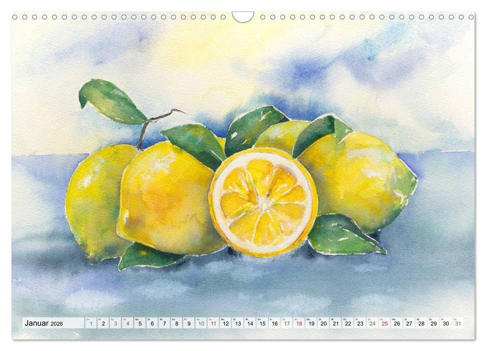 Obst Aquarelle (CALVENDO Wandkalender 2026)