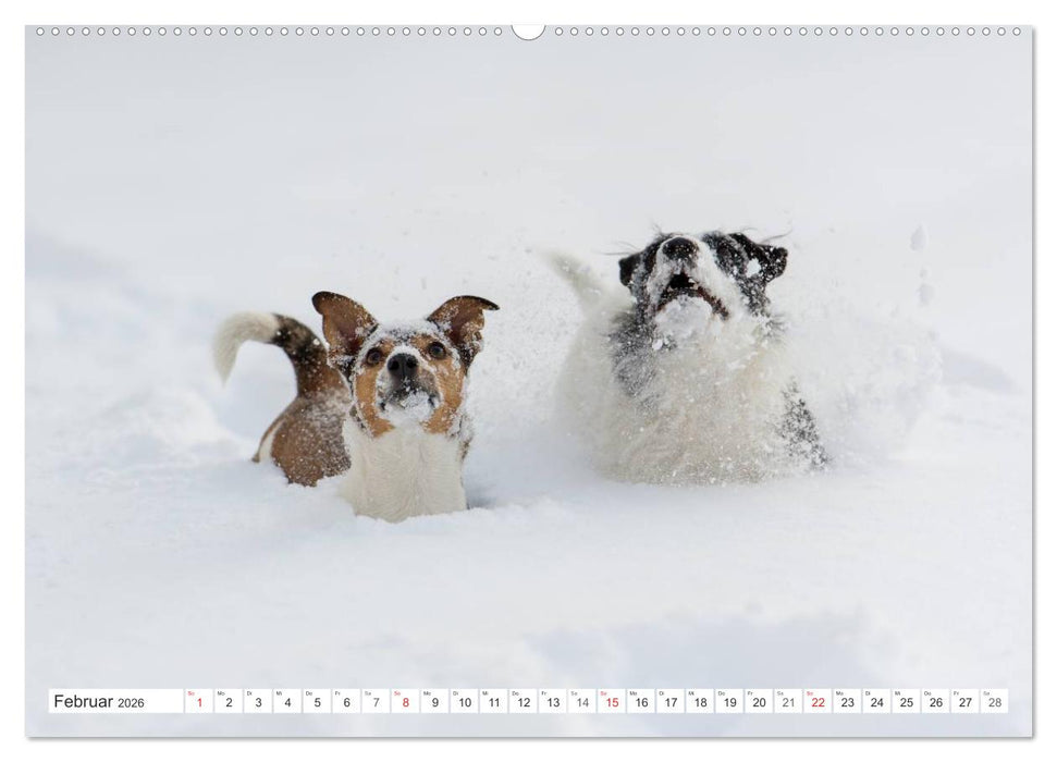 Emotionale Momente: Wild und Jagd. (CALVENDO Wandkalender 2026)