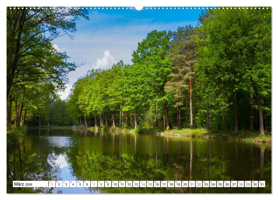 Bad Bergzaberner Land (CALVENDO Premium Wandkalender 2026)