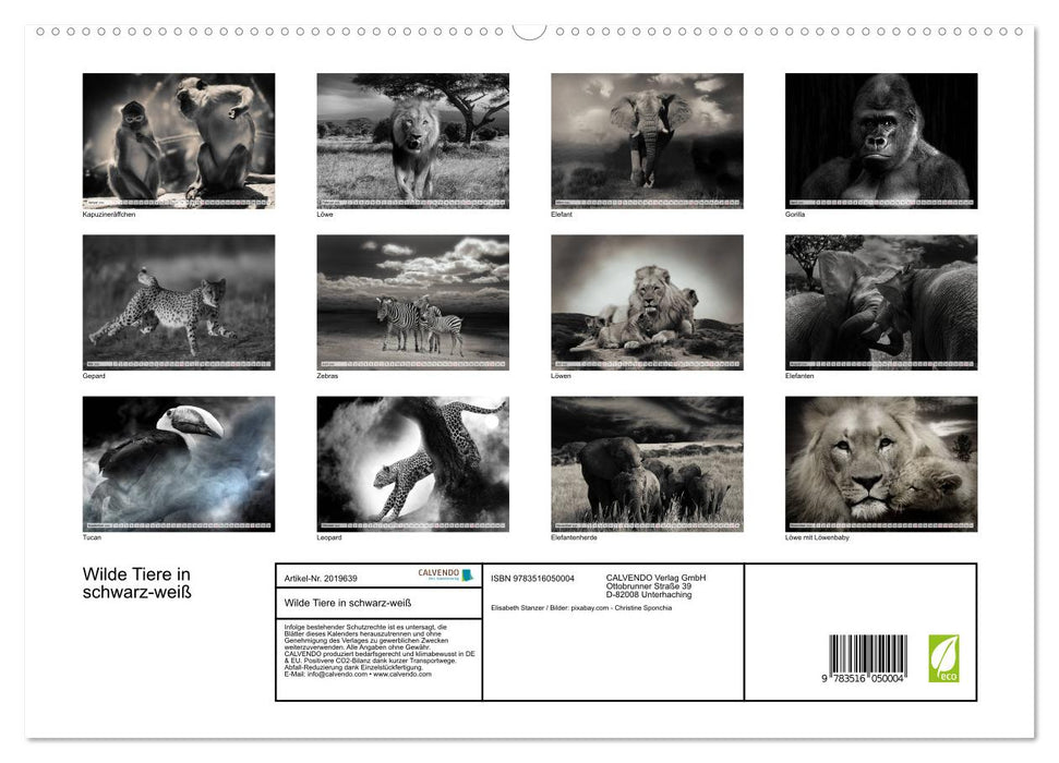 Wilde Tiere in schwarz-weiß (CALVENDO Premium Wandkalender 2026)