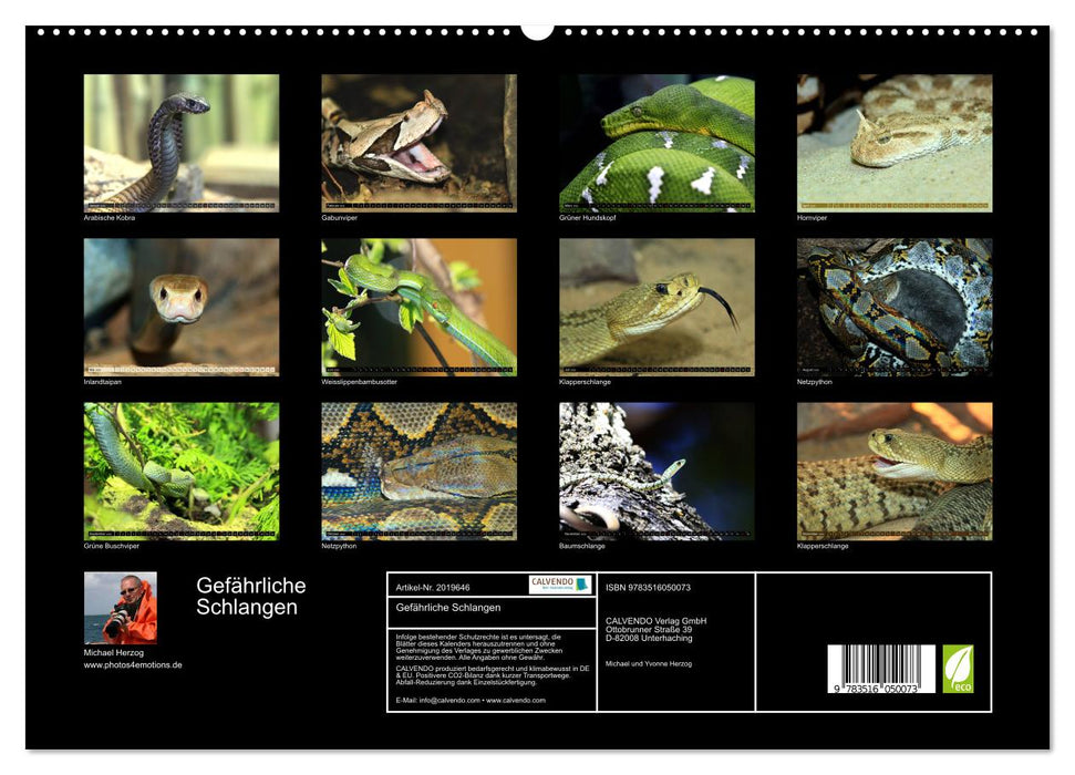 Gefährliche Schlangen (CALVENDO Premium Wandkalender 2026)