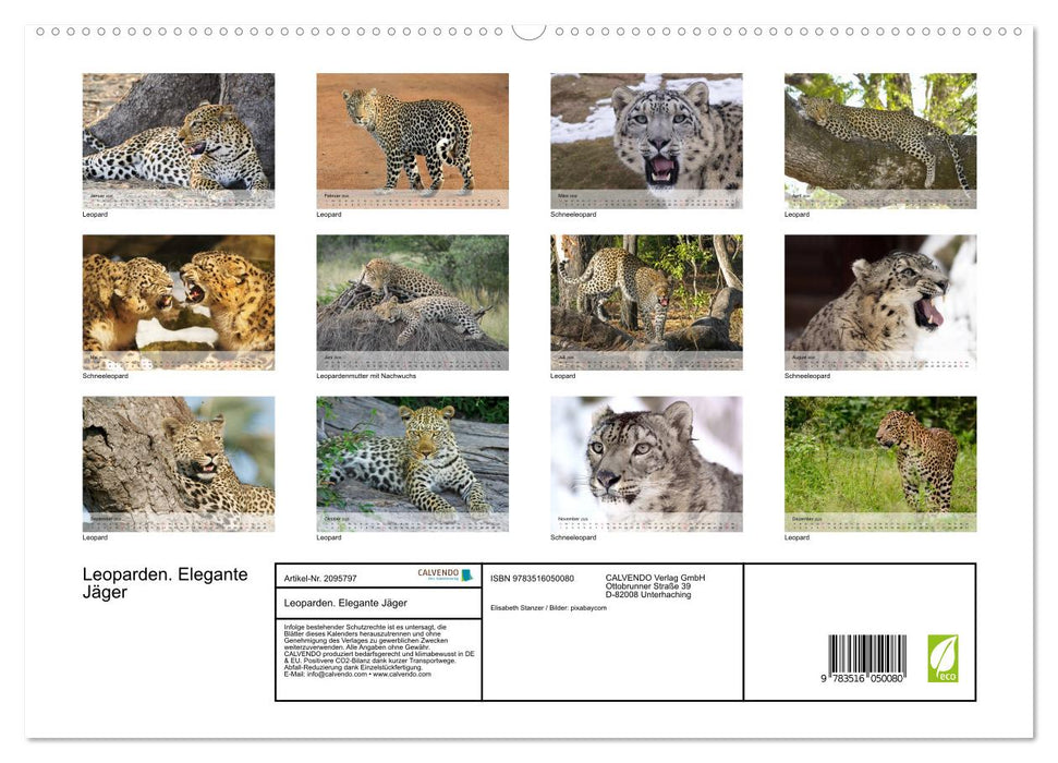 Leoparden. Elegante Jäger (CALVENDO Premium Wandkalender 2026)