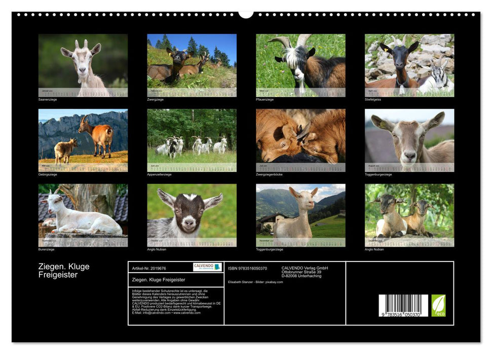 Ziegen. Kluge Freigeister (CALVENDO Premium Wandkalender 2026)