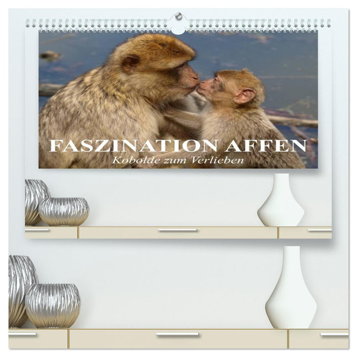 Faszination Affen. Kobolde zum Verlieben (CALVENDO Premium Wandkalender 2026)