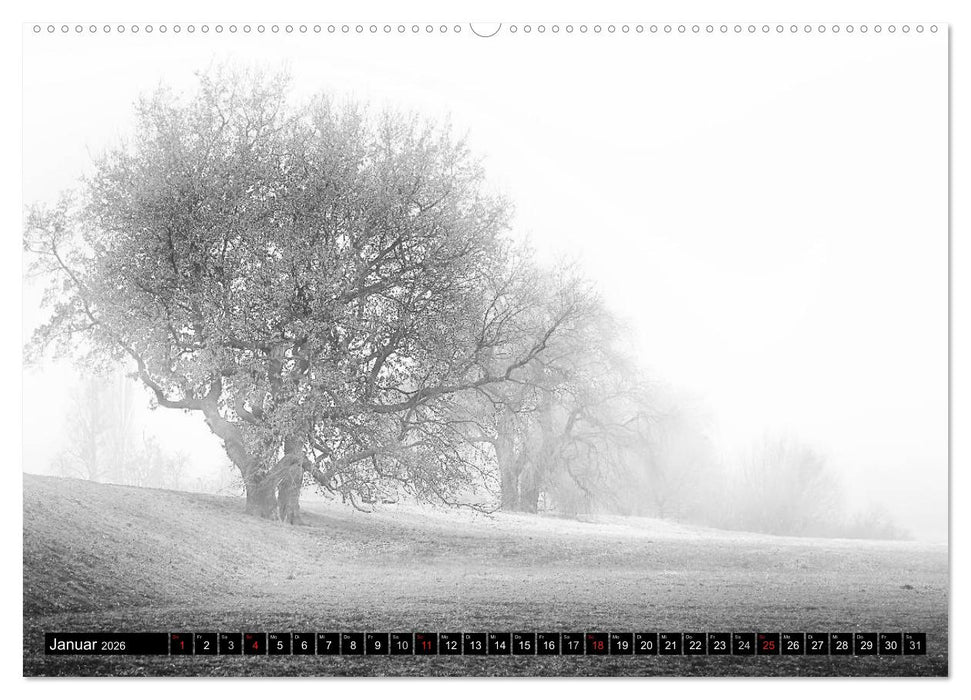 Die Magie der Stille (CALVENDO Premium Wandkalender 2026)