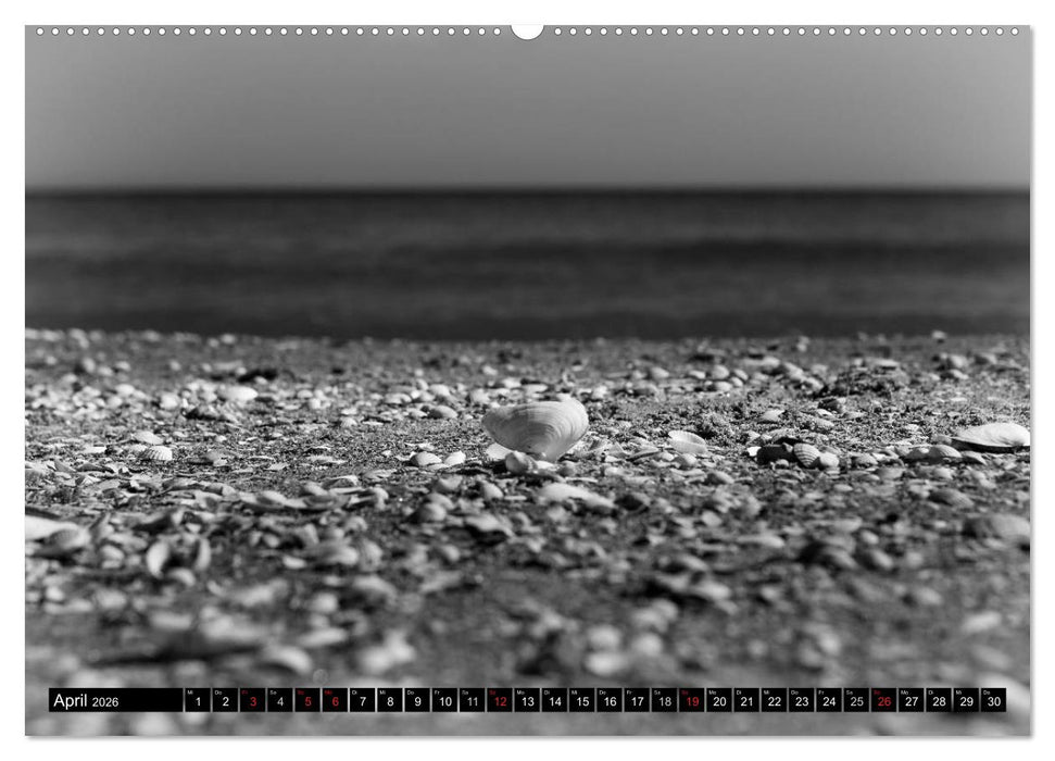 Die Magie der Stille (CALVENDO Premium Wandkalender 2026)