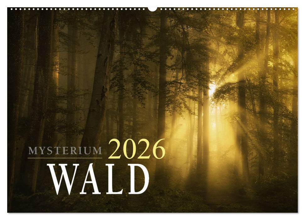 Mysterium Wald (CALVENDO Wandkalender 2026)