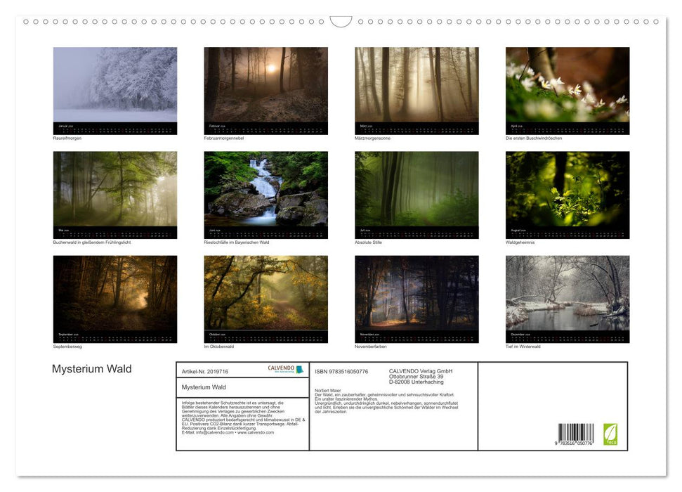 Mysterium Wald (CALVENDO Wandkalender 2026)