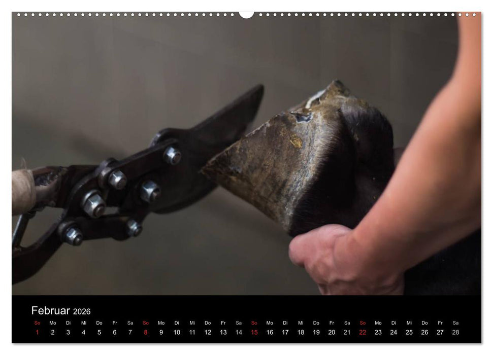 Hufschmiede - Impressionen eines alten Handwerks (CALVENDO Wandkalender 2026)