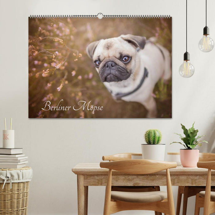 Berliner Möpse (CALVENDO Wandkalender 2026)