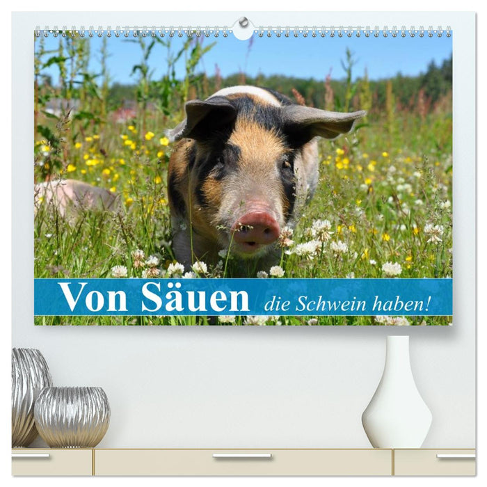 Von Säuen die Schwein haben! (CALVENDO Premium Wandkalender 2026)
