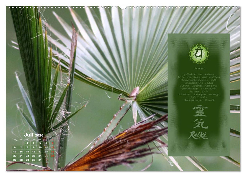 REIKI - Chakrameditation (CALVENDO Premium Wandkalender 2026)