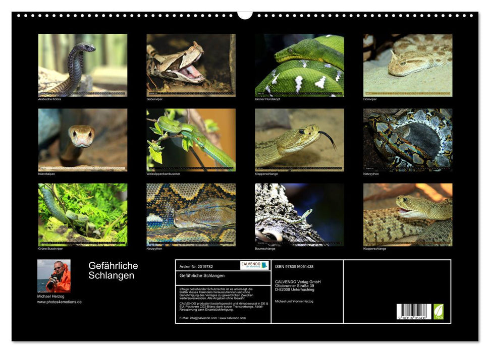 Gefährliche Schlangen (CALVENDO Wandkalender 2026)