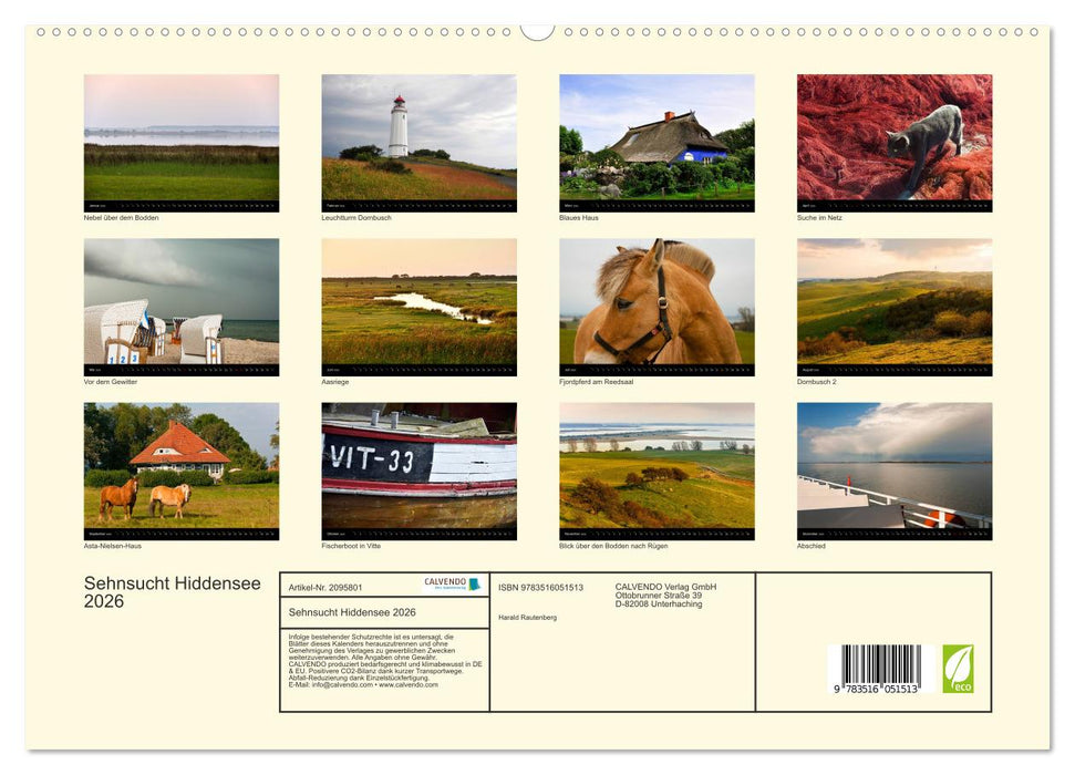 Sehnsucht Hiddensee 2026 (CALVENDO Premium Wandkalender 2026)