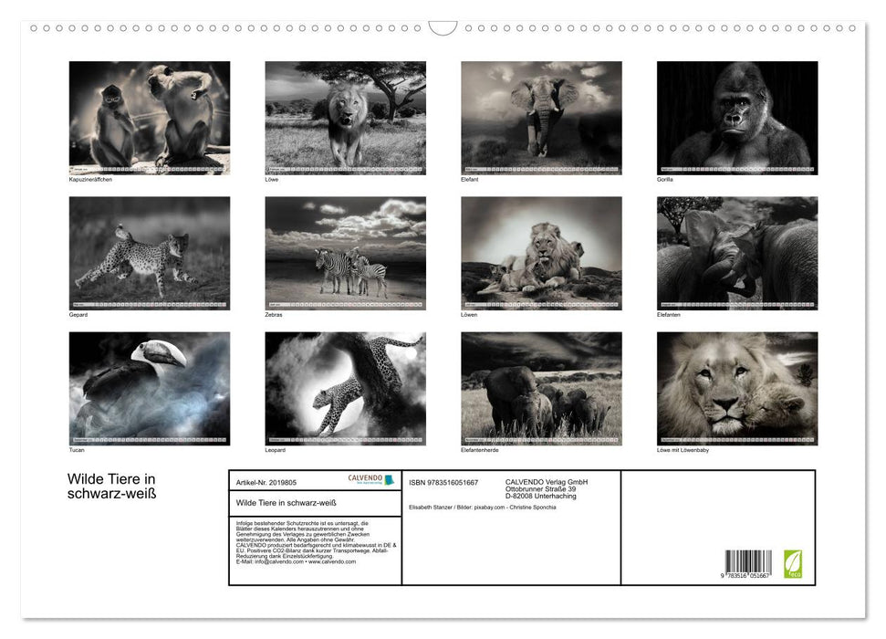 Wilde Tiere in schwarz-weiß (CALVENDO Wandkalender 2026)