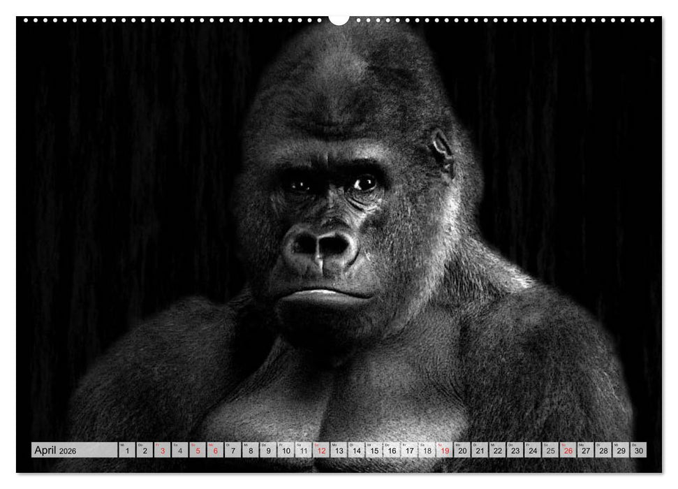 Wilde Tiere in schwarz-weiß (CALVENDO Wandkalender 2026)