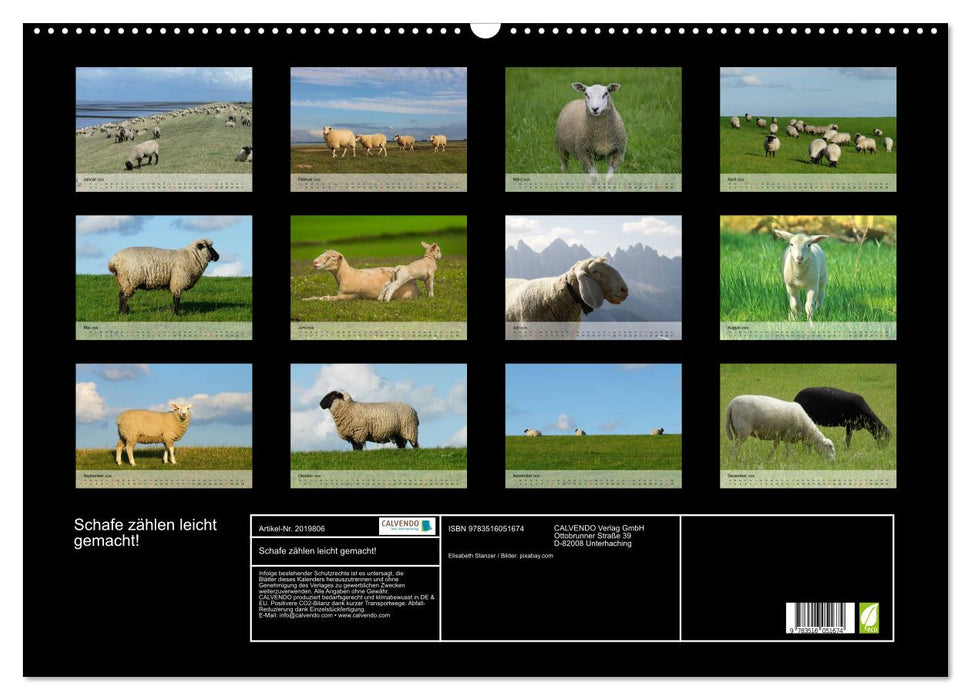 Schafe zählen leicht gemacht! (CALVENDO Wandkalender 2026)