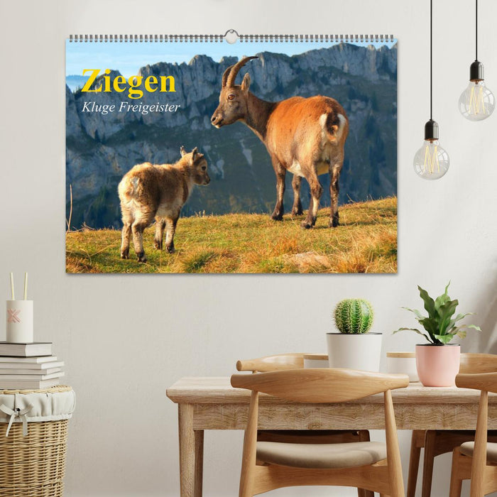 Ziegen. Kluge Freigeister (CALVENDO Wandkalender 2026)